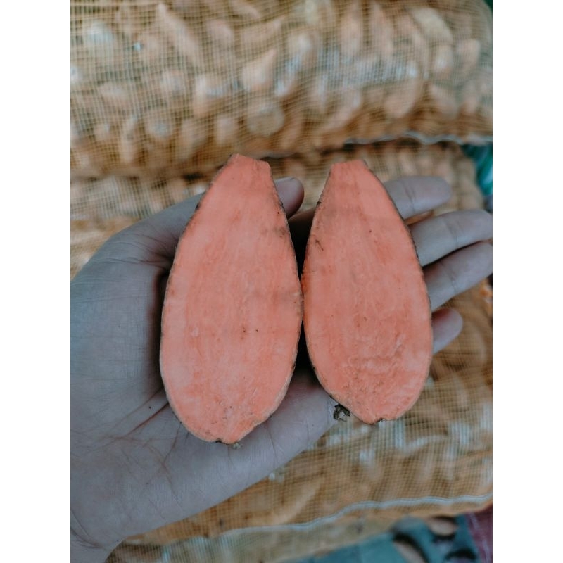 

KETELA / UBI OREN MADU 4KG