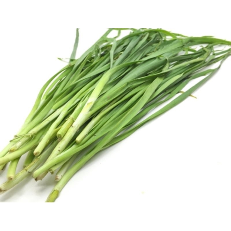 

Grosir 1 Ikat Kucai Segar