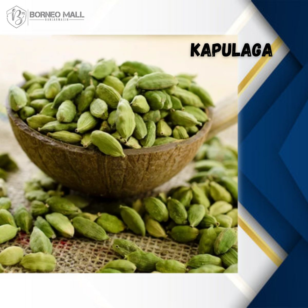 

BM471 // Kapulaga India (10 gram) / Kapulaga Arab / Kapulaga hijau / Cardamom By. Borneo mall