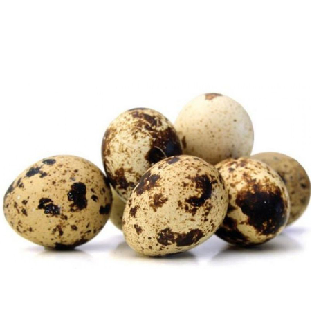 

Telur Puyuh isi 30