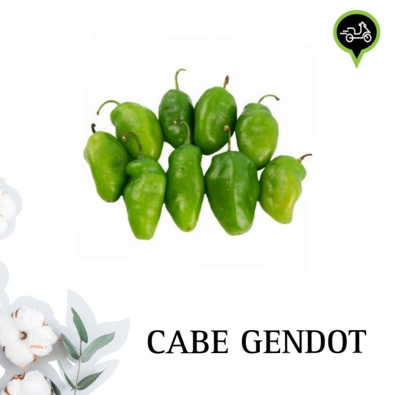 

Cabe gendot