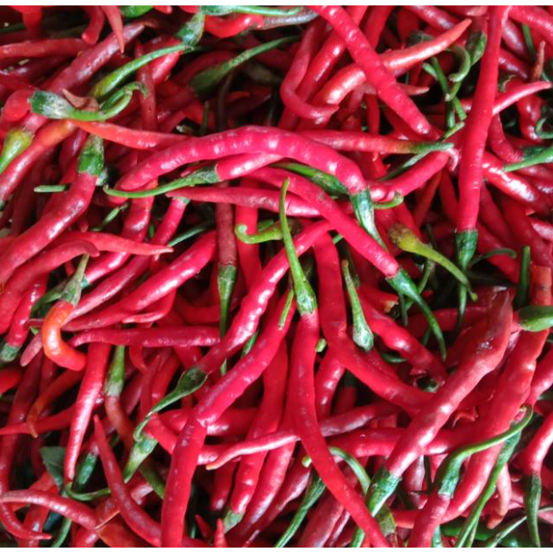 

Cabe Merah Keriting Segar Lokal 100 Gram