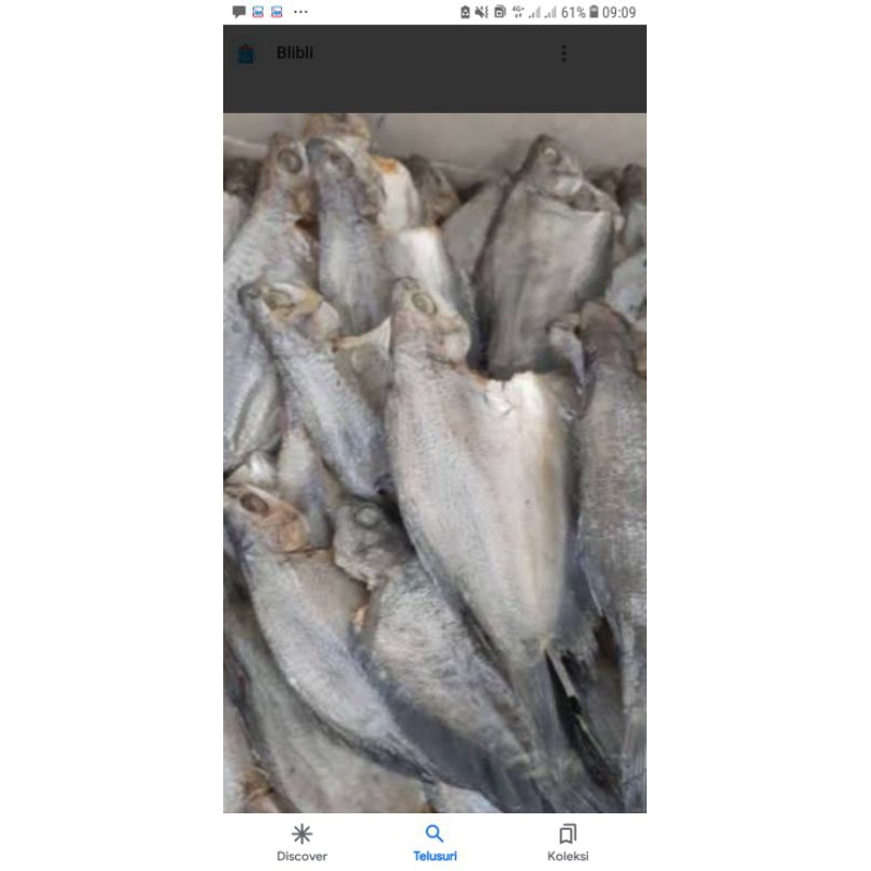 

ikan asin sepat sedang 250g