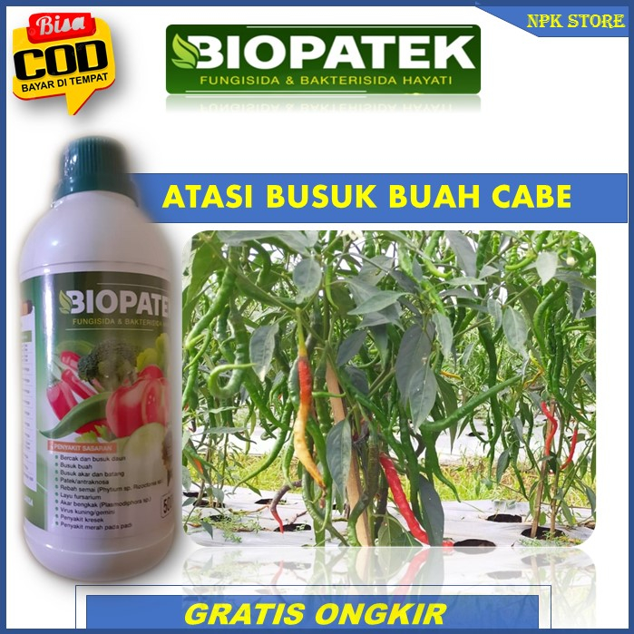 Terbaru BIOPATEK Fungisida & Bakterisida Hayati Pupuk Paling Ampuh Atasi Busuk Tanaman Cabai – Obat 