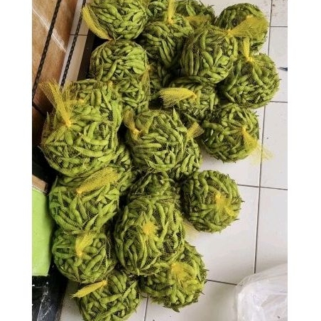 

edamame