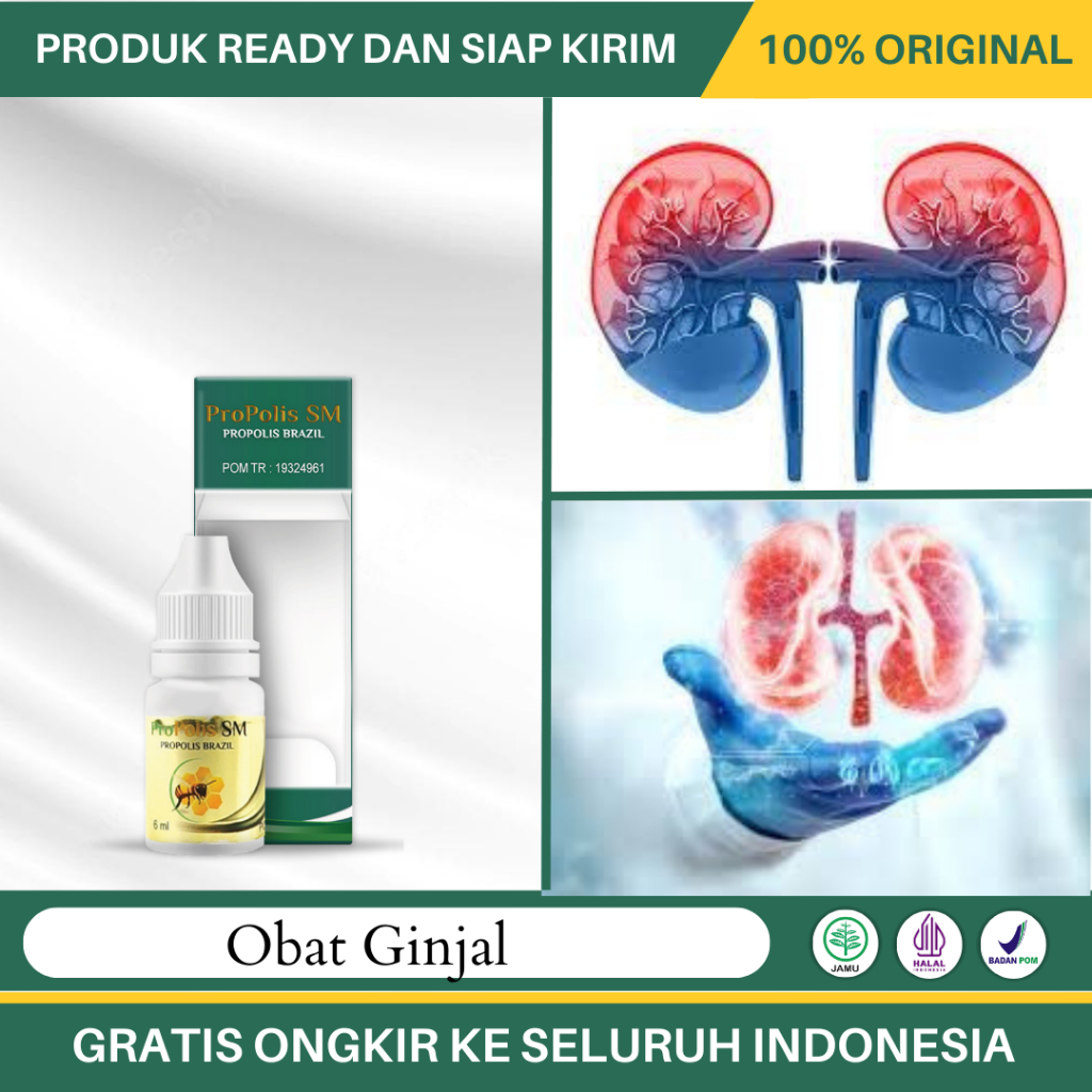 Obat Ginjal, Bocor Gagal Ginjal, Infeksi Ginjal, Batu Ginjal, Ginjal Akut, Ginjal Kronis - Propolis 