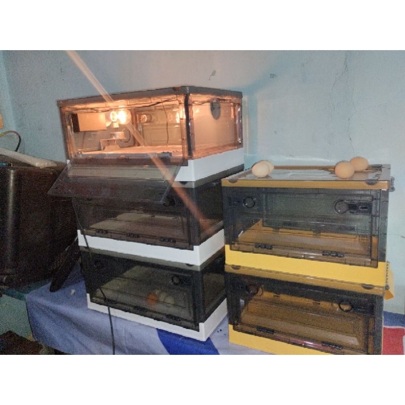 Mesin penetas telor otomatis 40 butir alat penetas telor