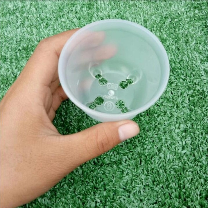 pot bunga tanaman mini nkt panda 06 bening transparan 6cm - nkt mini