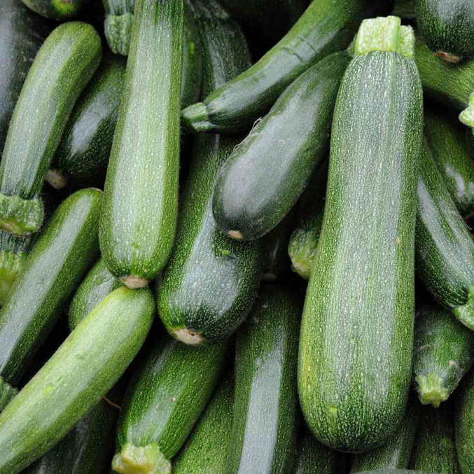 

Zucchini