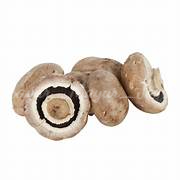 

JAMUR PORTABELLO