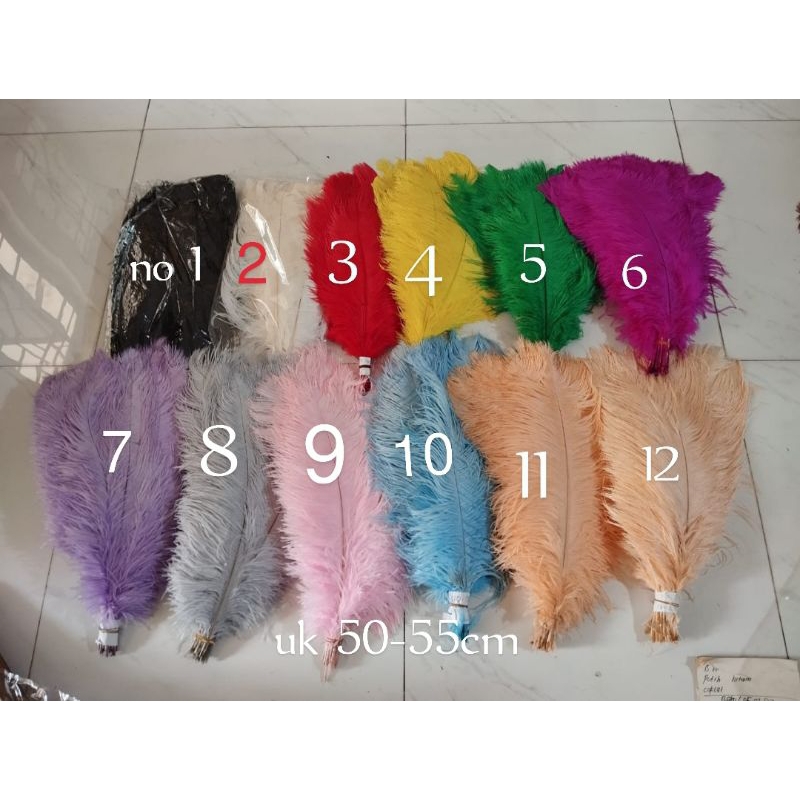 BULU OSTRICH PANJANG UK 50-55CM/BULU DEKORASI
