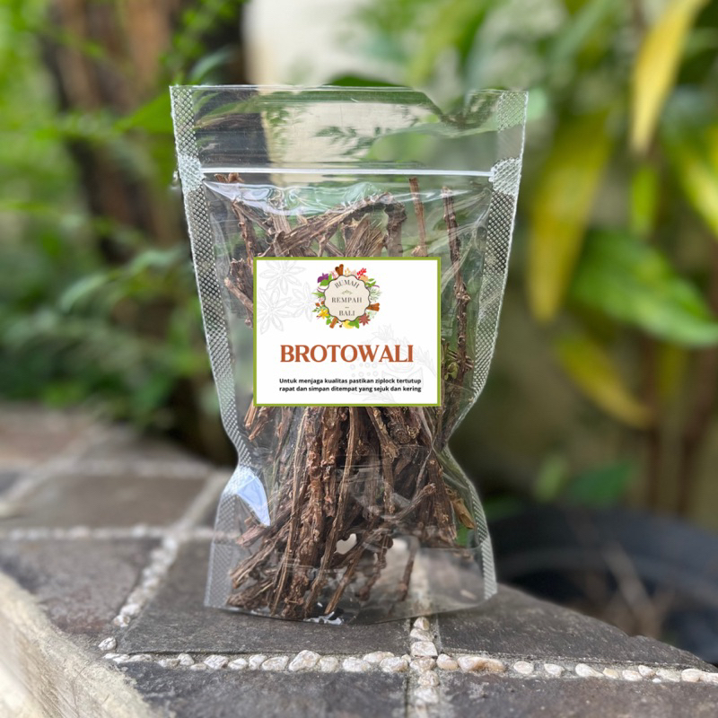 

Brotowali Kering Kualitas super