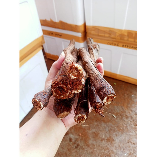 Paket 1kg Cutting Anggur Alfonso Berkalus