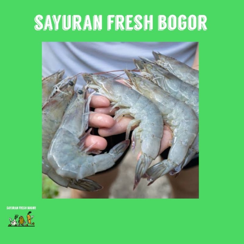 

Udang Vaname Segar ( 250 Gram ) | Sayuran Fresh Bogor