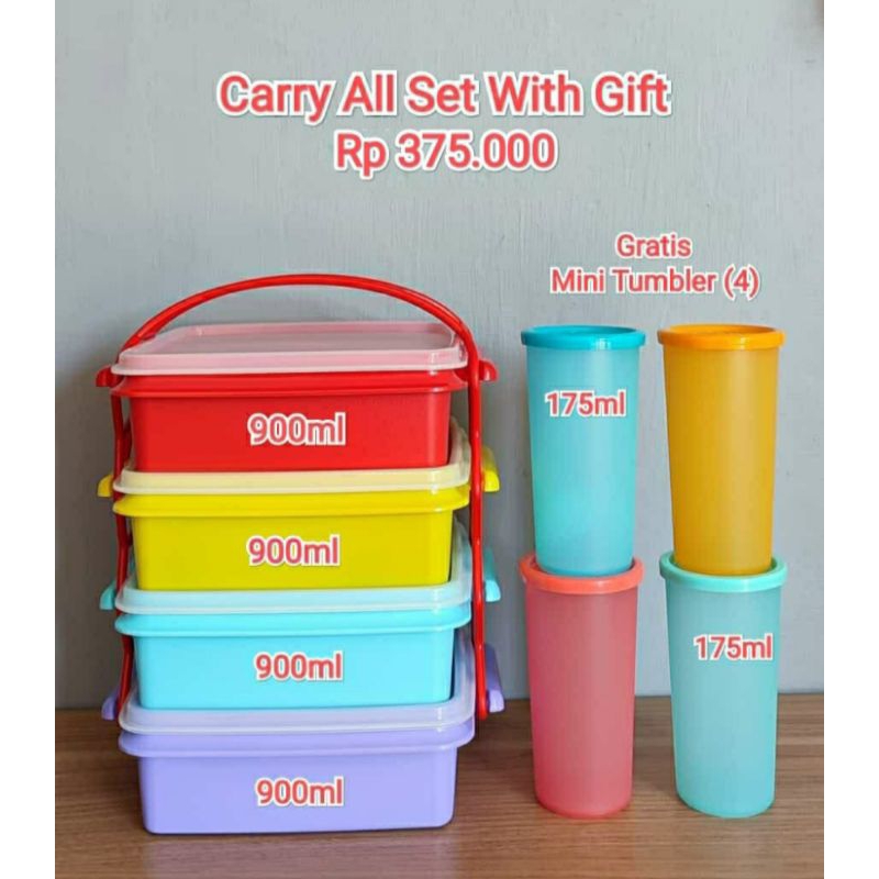 Tupperware carry all set