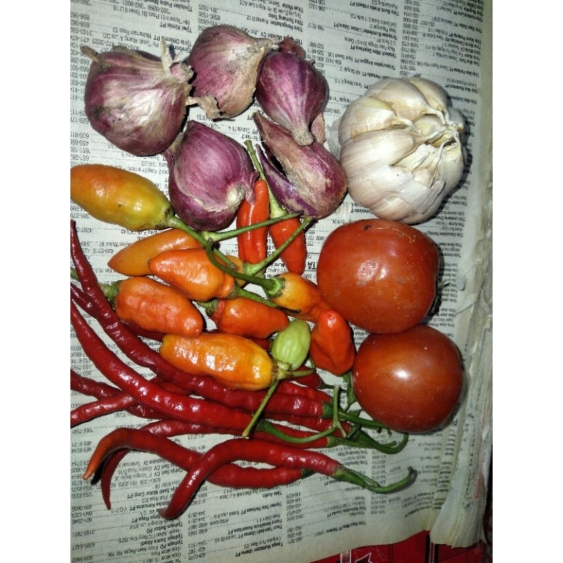 

Paket Sambelan lengkap
