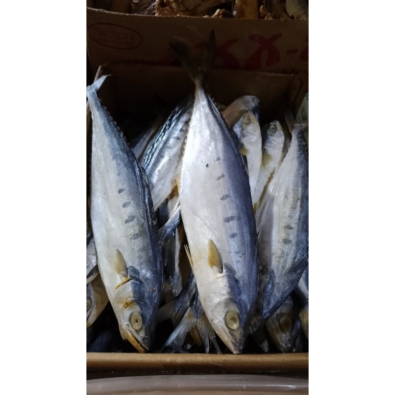 

ikan asin tenggiri asli pangandaran, ikan tenggiri super oleh oleh pangandaran. ikan asin