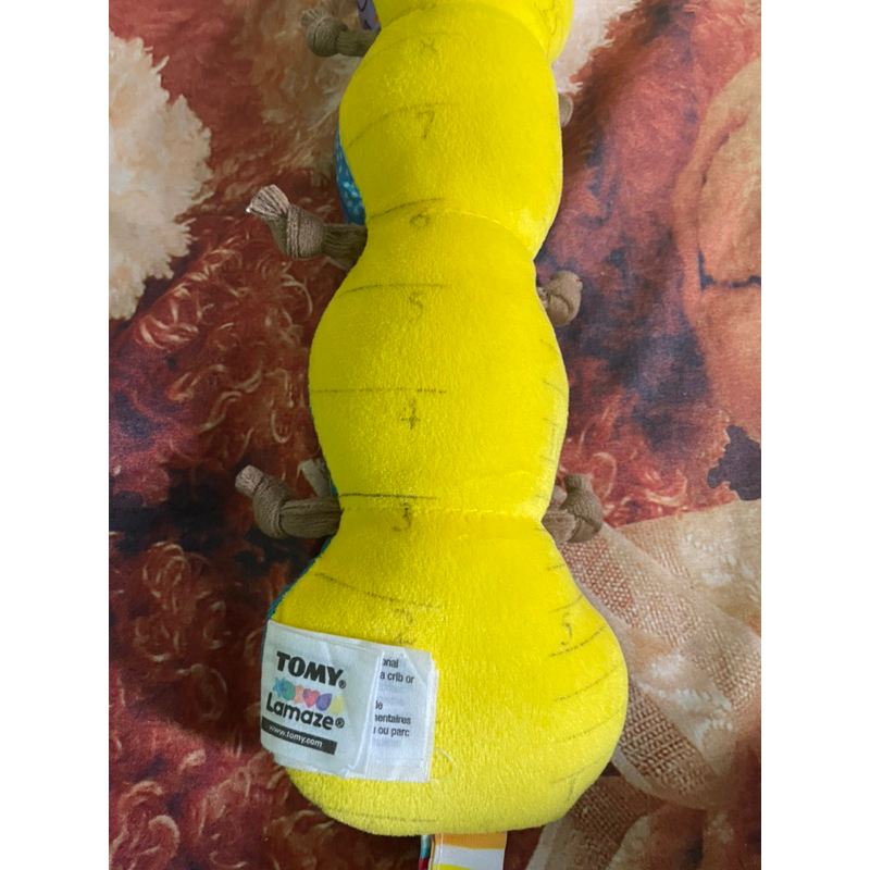 ulat ukur lamaze / ulir lamaze