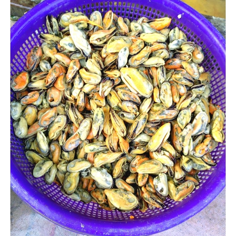 

KERANG KUPAS 1KG
