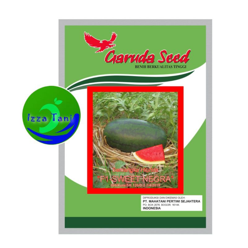 Benih Semangka Inul Sweet Negra 10Gram Benih Semangka Bibit Semangka Inul Bibit Semangka