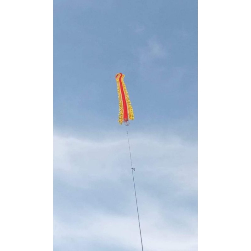 kepingan layangan naga dm 40cm harga untuk 20 keping