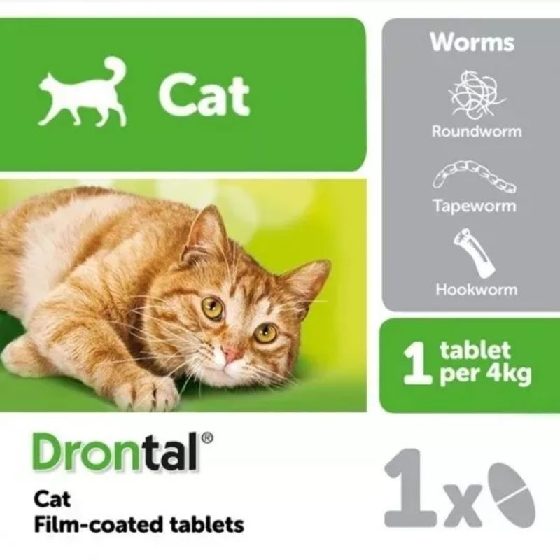 Drontal Cat Obat Cacing Kucing