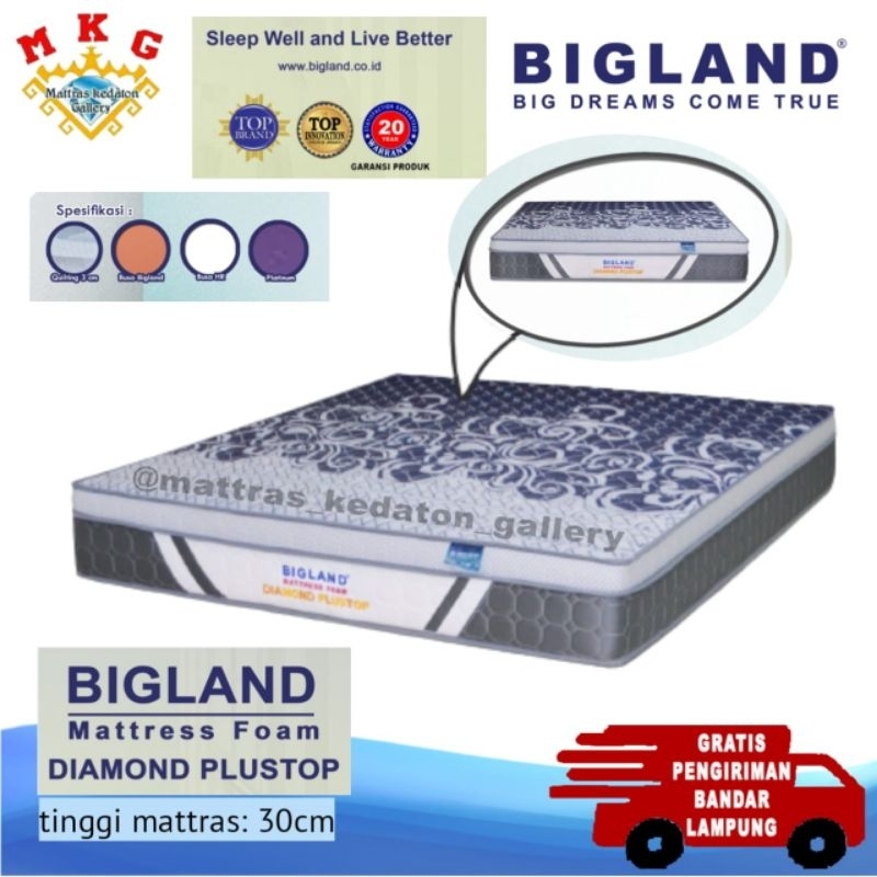 Bigland Busa foam Diamond Plustop bergaransi 20 tahun - Tinggi 30 cm matras busa bigland springbed b