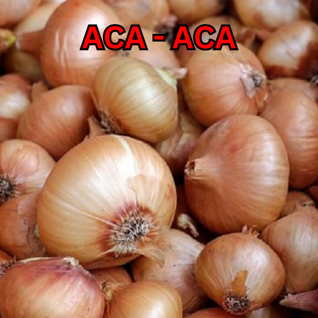 

Bawang Bombay Murah 500gram
