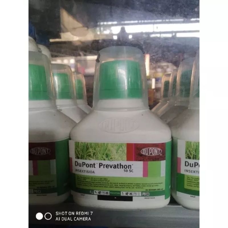 obat pertanian insektisida DUPONT PREVATHON LAMA 250ML