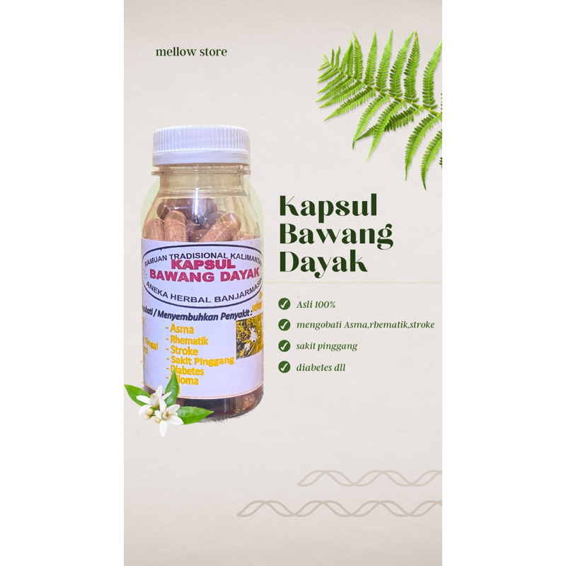 serbuk kapsul bawang dayak khas kalimantan asli 100%