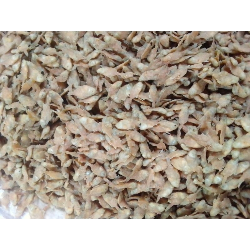 

Goreng ikan petek baby fish siguyur 1bal isi 10kg