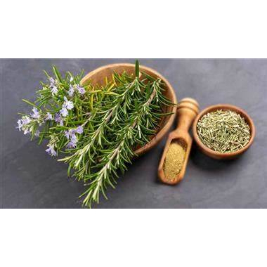 

Rosemary Kering (250 gram) / Dry Rosemary Leaf / Rosemary Tea / Teh Rosemary