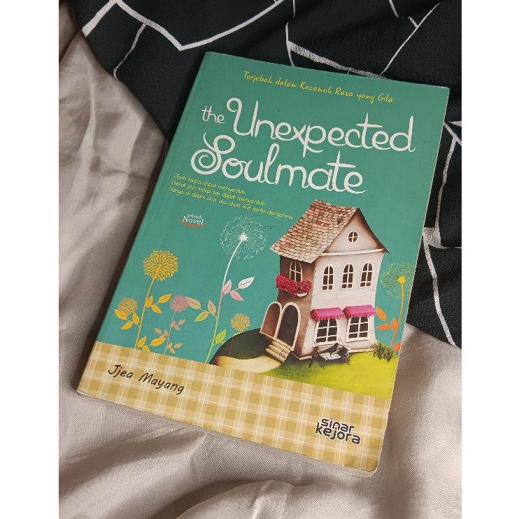 PRELOVED Novel The Unexpected Soulmate