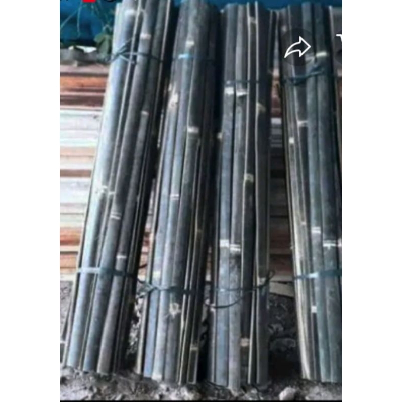 kikis bambu hitam bilah bambu hitam asli