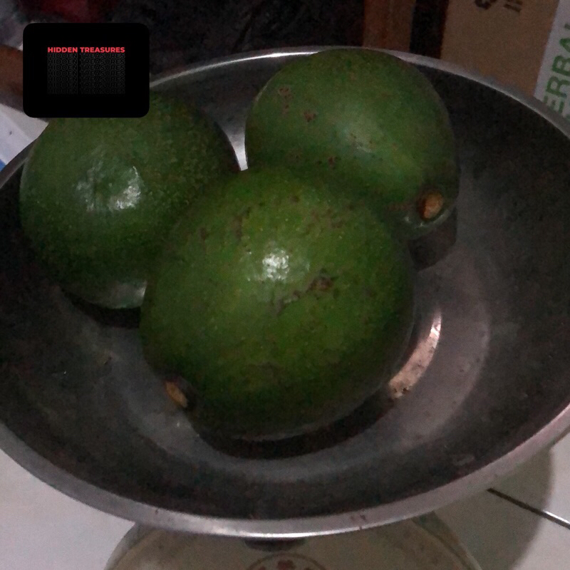 

Alpukat Cipedak alpukat miki alpukat mentega original
