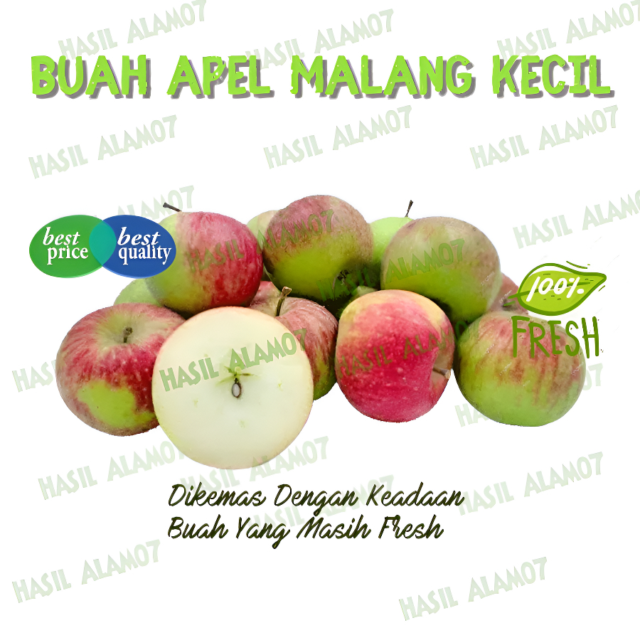 

Buah Apel Malang Apple Super Segar Fresh Fruits Harga 1Kg