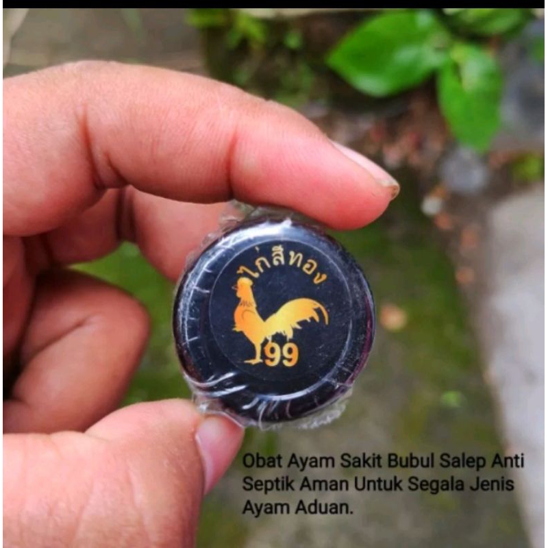 Obat Bubul Salep 99 Obat antiseptik Untuk Berbagi Jenis Ayam