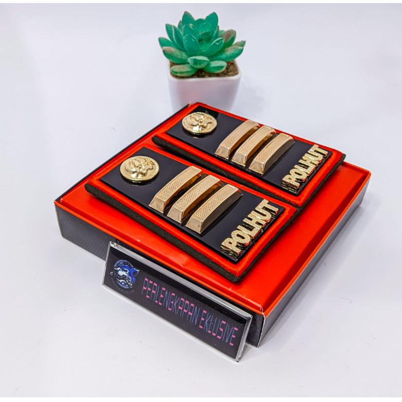 PANGKAT POLHUT GOLONGAN 3C - PANGKAT POLHUT 3C - POLHUT 3C