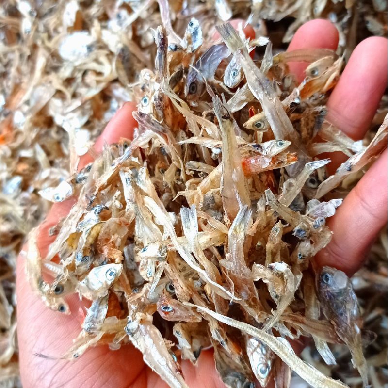 

IKAN ASIN KUALITAS SUPER KEMASAN HEMAT