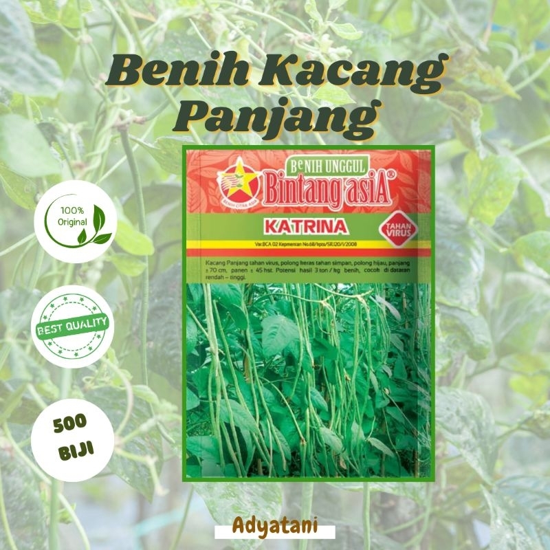 Benih Bibit Kacang Panjang Katrina 500 Biji Original Bintang Asia