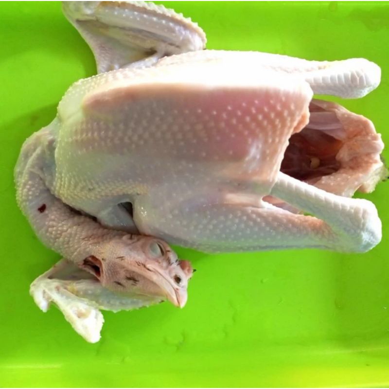 

Ayam Kampung Besar fresh 1,6kg