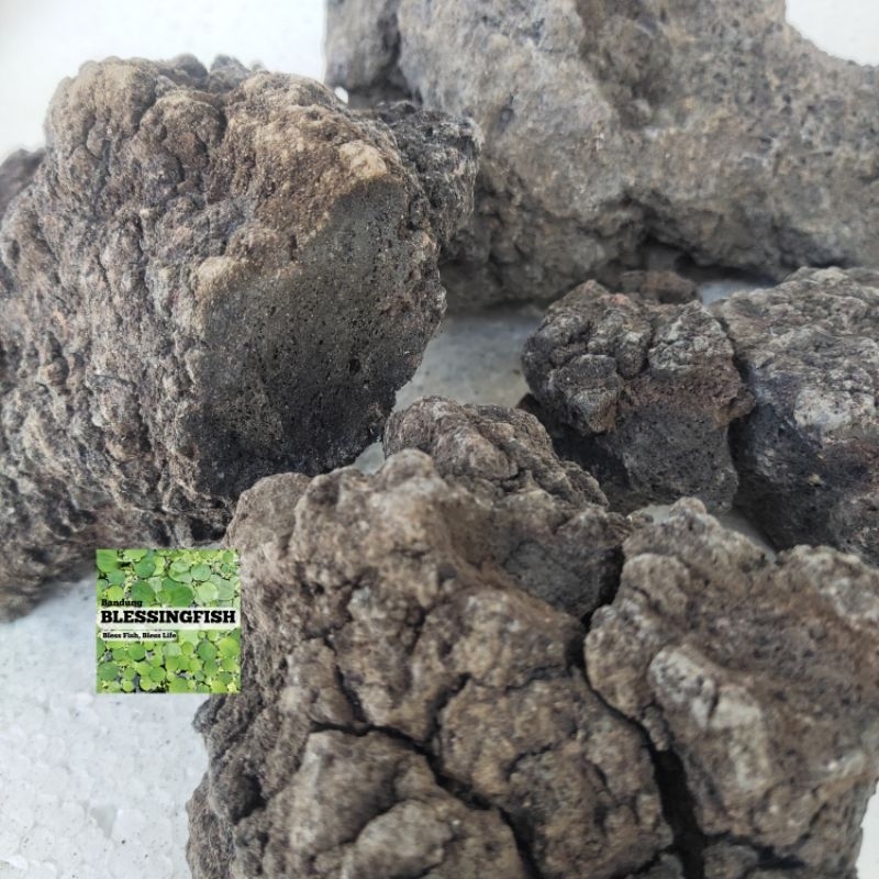 Syafatummy Batu Lava Rock Batu Lava Aquascape Batu Lava Rock Aquarium Batu Paludarium Batu Lavarock