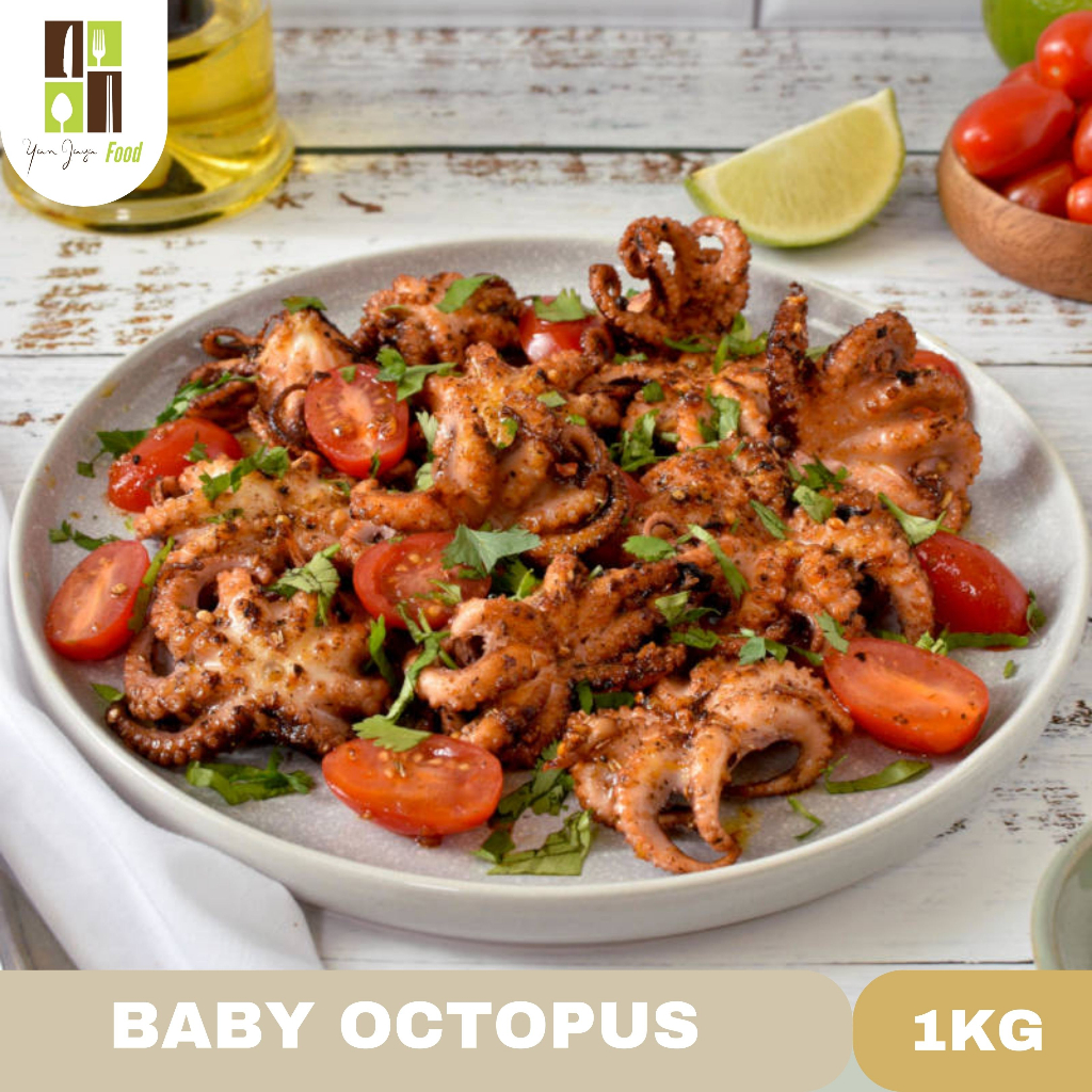 Baby Octopus / Bayi Gurita 1kg