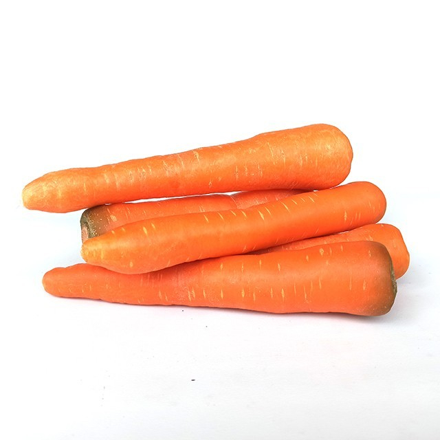 

Wortel segar 500gr