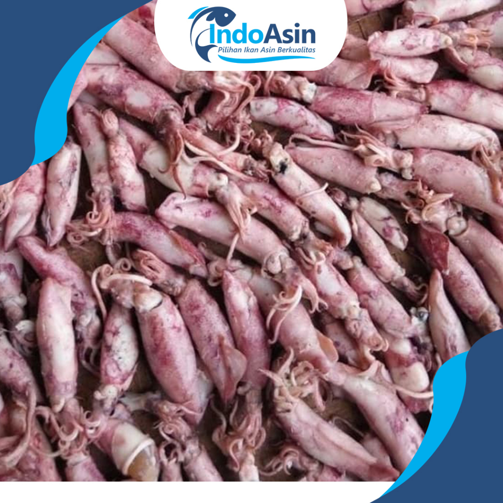 

Cumi Asin Ikan Asin 250gr Fresh Super Premium