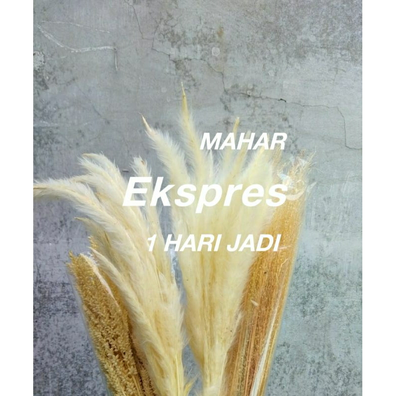 Mahar Ekspress