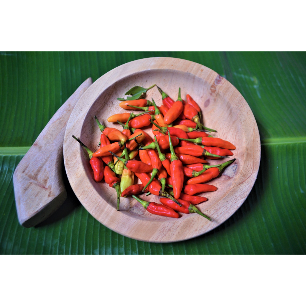 

Kirim Instant - Cabai Rawit dan Cabai Sayur