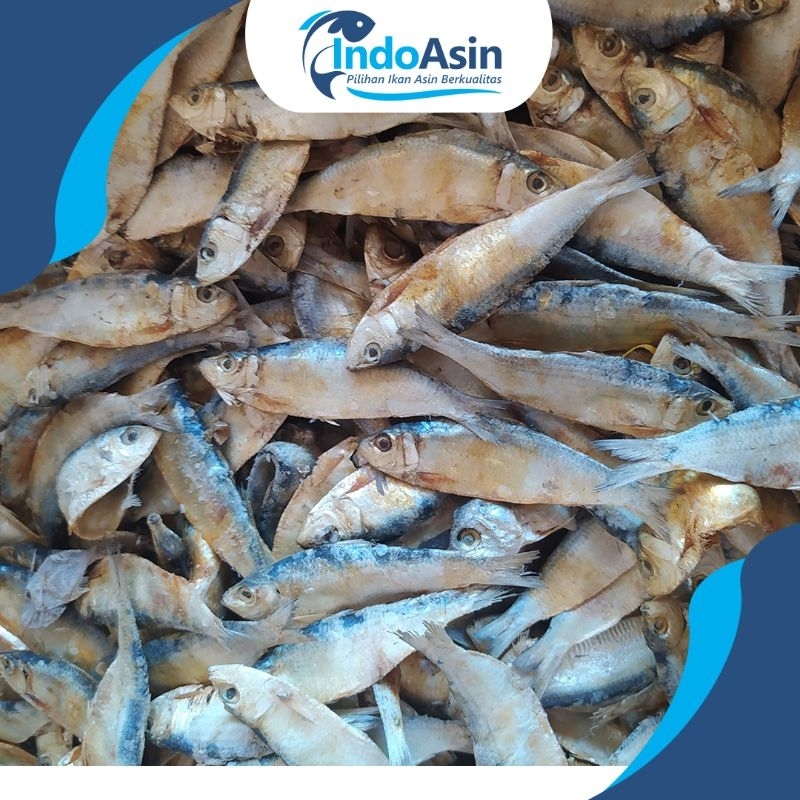 

Ikan Tanjan Super Premium 1kg Best Seller