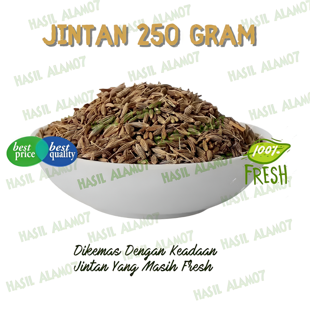 

Jintan Rempah Bumbu Masak Segar Fresh 250 Gram Jinten