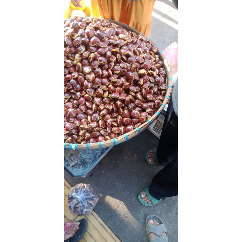 

Jengkol tua/ sepi 1kg